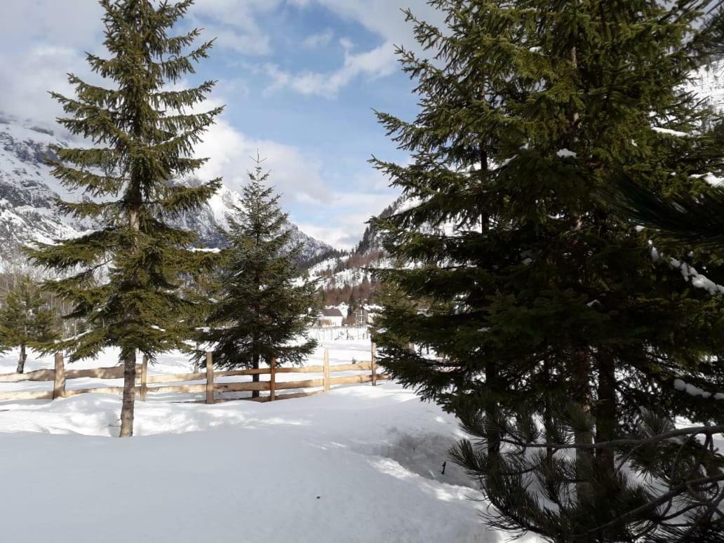 Valbona Eco Camping Valbone Exterior photo